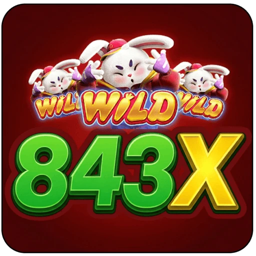 843X Logo